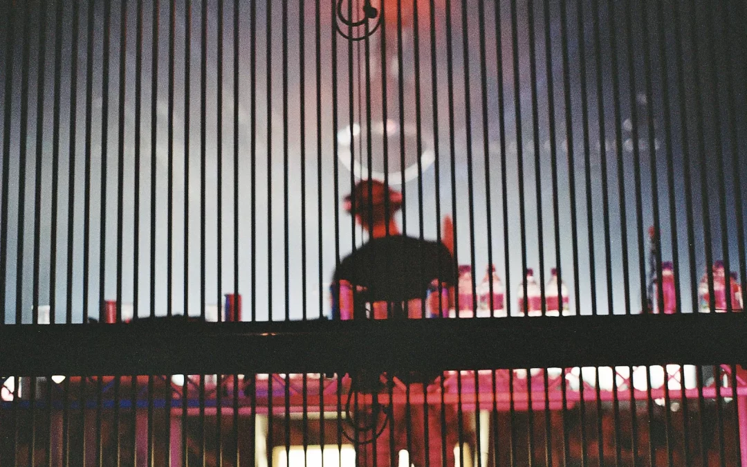 ۶ روش استفاده از خطوط در ترکیب بندی عکاسی