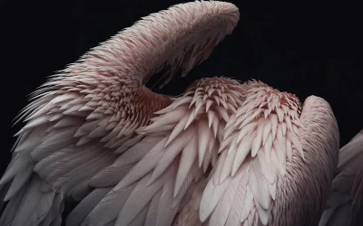 ایده های پیشرفته ترکیب بندی برای امتحان کردن (ایده های عکاسی)